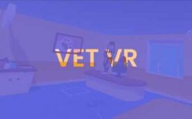 Vet VR Oculus Meta Quest VR Game<span class="mi-jiaobiao" style="background-color: #ff0000;">Simulation VIP</span>