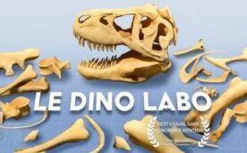Le Dino Labo Oculus Meta Quest VR Game