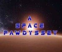 A Space Pawdyssey Oculus Meta Quest VR Game<span class="mi-jiaobiao" style="background-color: #ff0000;">Adventure VIP</span>