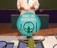 Dissection Simulator Frog Edition Oculus Meta Quest VR Game<span class="mi-jiaobiao" style="background-color: #ff0000;">Education VIP</span>