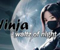 Ninja Waltz of Night Oculus Meta Quest VR Game<span class="mi-jiaobiao" style="background-color: #ff0000;">Action VIP</span>