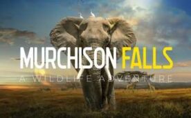 Murchison Falls The Awarded Wildlife Adventure with Elephants Lions and Hyenas Oculus Meta Quest VR Game<span class="mi-jiaobiao" style="background-color: #ff0000;">Travel and exploration VIP</span>