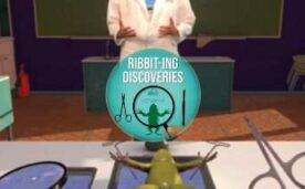 Dissection Simulator Frog Edition Oculus Meta Quest VR Game<span class="mi-jiaobiao" style="background-color: #ff0000;">Education VIP</span>
