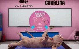 Dissection Simulator Pig Edition Oculus Meta Quest VR Game<span class="mi-jiaobiao" style="background-color: #ff0000;">Education VIP</span>