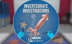 Dissection Simulator Invertebrate Edition Oculus Meta Quest VR Game<span class="mi-jiaobiao" style="background-color: #ff0000;">Education VIP</span>