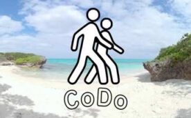 CoDo Spaces Oculus Meta Quest VR Game<span class="mi-jiaobiao" style="background-color: #ff0000;">Travel exploration VIP</span>