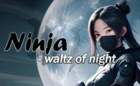 Ninja Waltz of Night Oculus Meta Quest VR Game<span class="mi-jiaobiao" style="background-color: #ff0000;">Action VIP</span>
