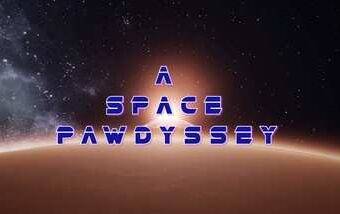 A Space Pawdyssey Oculus Meta Quest VR Game<span class="mi-jiaobiao" style="background-color: #ff0000;">Adventure VIP</span>