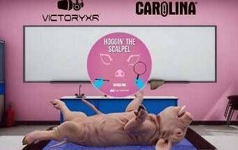 Dissection Simulator Pig Edition Oculus Meta Quest VR Game<span class="mi-jiaobiao" style="background-color: #ff0000;">Education VIP</span>