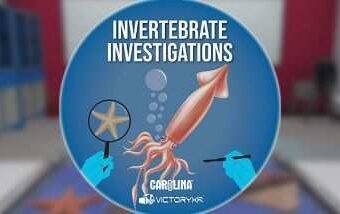 Dissection Simulator Invertebrate Edition Oculus Meta Quest VR Game<span class="mi-jiaobiao" style="background-color: #ff0000;">Education VIP</span>