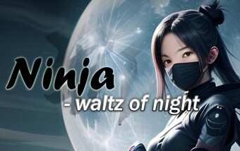 Ninja Waltz of Night Oculus Meta Quest VR Game<span class="mi-jiaobiao" style="background-color: #ff0000;">Action VIP</span>
