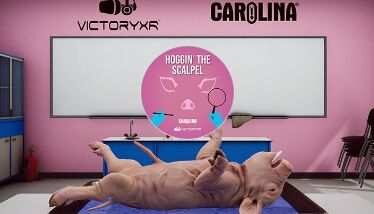 Dissection Simulator Pig Edition Oculus Meta Quest VR Game<span class="mi-jiaobiao" style="background-color: #ff0000;">Education VIP</span>