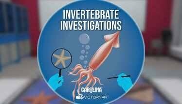 Dissection Simulator Invertebrate Edition Oculus Meta Quest VR Game<span class="mi-jiaobiao" style="background-color: #ff0000;">Education VIP</span>