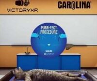 Dissection Simulator Cat Edition Oculus Meta Quest VR Game<span class="mi-jiaobiao" style="background-color: #ff0000;">Education VIP</span>