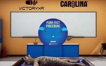 Dissection Simulator Cat Edition Oculus Meta Quest VR Game<span class="mi-jiaobiao" style="background-color: #ff0000;">Education VIP</span>