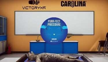Dissection Simulator Cat Edition Oculus Meta Quest VR Game<span class="mi-jiaobiao" style="background-color: #ff0000;">Education VIP</span>