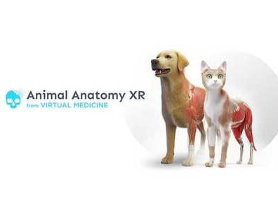 Animal Anatomy XR Oculus Meta Quest VR Game<span class="mi-jiaobiao" style="background-color: #ff0000;">Education VIP</span>