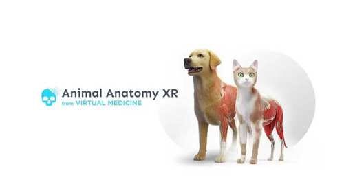 Animal Anatomy XR Oculus Meta Quest VR Game<span class="mi-jiaobiao" style="background-color: #ff0000;">Education VIP</span>